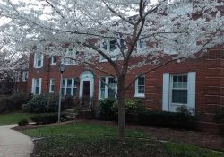 Colonial Village Exterior