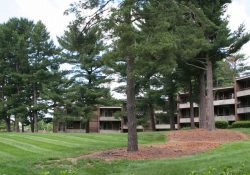 Crescent Apartments Exterior