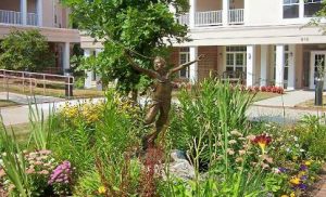 Herndon Harbor House Gardens