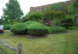 Marywood Apartments Grounds