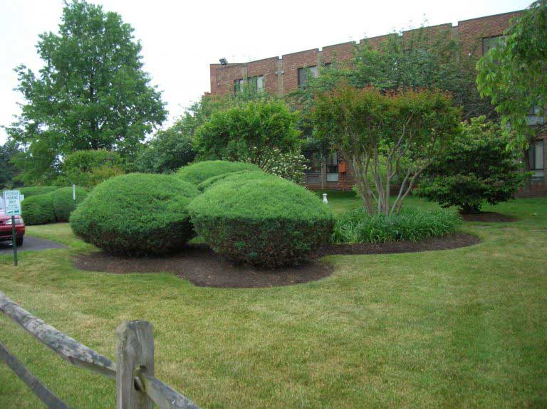 Marywood Apartments Grounds